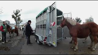 Foire aux Chevaux 2017 [upl. by Eerrahs]