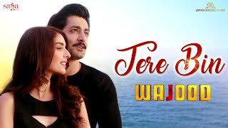 Tere Bin  Wajood Movie  New Love Song  Danish Taimoor Saeeda Imtiaz  Hindi Song 2018 [upl. by Alodie235]