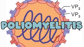 Poliomyelitis I pathogenesis  Lab diagnosis  vaccine [upl. by Millman840]