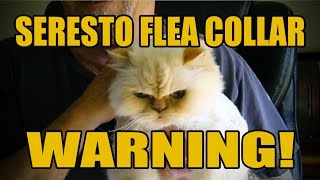 Seresto Flea Collar Warning [upl. by Nylteak]