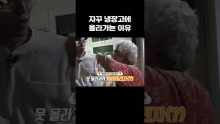 고양이가 자꾸 냉장고에 올라가는 이유 왜그러냥귀엽개 shorts [upl. by Leonid]