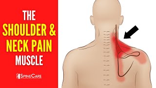 The Neck and Shoulder Pain Muscle How to Release It for INSTANT RELIEF [upl. by Groark]