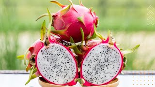 Dragon Fruit  Dragon Fruit Hand pollination karmna twba yai [upl. by Diane]