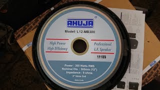 AHUJA L12MB300 PROFESSIONAL PA SPEAKERS UNBOXING amp REVIEW [upl. by Samanthia103]