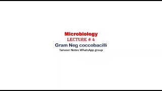 microbiology lecture 4 Gram negative coccobacilli [upl. by Allerie]