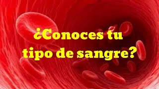 ¿CONOCES TU TIPO DE SANGRE ¡Es importante [upl. by Arek217]