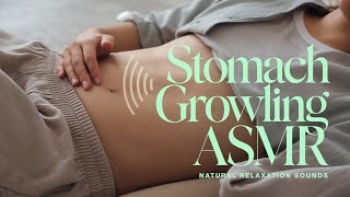 ASMR Stomach Growling Noises for Relaxation amp Sleep  ASMR Stomach GrowlingBilly Noises [upl. by Anelaj]