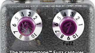 Fender Hammertone Fuzz [upl. by Shawnee902]