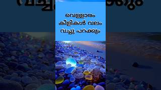 വെള്ളാരം കിളികൾ വലം വെച്ചു പറക്കും malayalam song [upl. by Gesner]