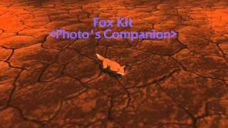 Fox Kit companion pet World of Warcraft WoW [upl. by Ariem]