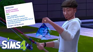 How to catch an Angelfish for Ambrosia and have an unlimited supply  The Sims 4 Hack [upl. by Yneffit]