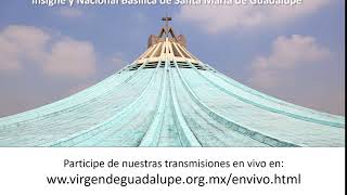 Transmisiones en vivo desde la Basílica de Guadalupe [upl. by Nairad]