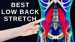 1 Best Low Back Stretch for Lower Back Pain Relief [upl. by Bonucci379]