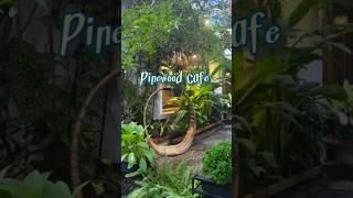 Pinewood Cafe  Kitchen Dhanmondi Aesthetic restaurant in Dhaka cafe food dhaka [upl. by Myriam]