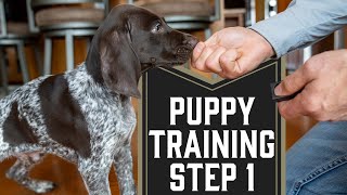 First Step To Training A Puppy [upl. by Perce]