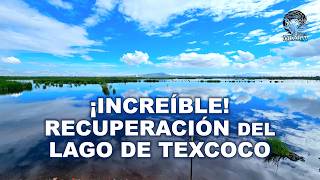 ¡Increíble recuperacion del Lago de Texcoco [upl. by Ferna110]