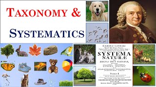 Taxonomy  Systematics  Carolus Linnaeus  Part 1 [upl. by Josefa]