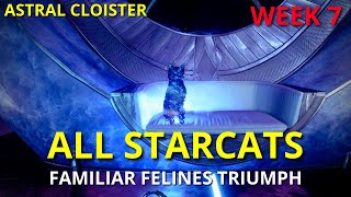 All Starcats  Queens Visitors WEEK 7 Familiar Felines Triumph  Destiny 2 [upl. by Lachman435]