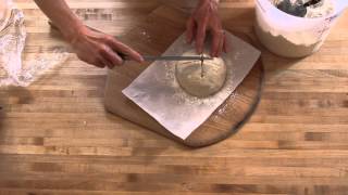 GlutenFree Bread in Five Minutes a Day The Video 2015 [upl. by Adlaremse281]