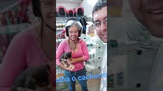 Como fazer um cachorro feliz [upl. by Ardnoyek]