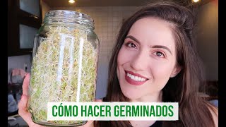 CÓMO HACER BROTES DE LENTEJA Y QUINOA EN CASA 🌱 [upl. by Earised]