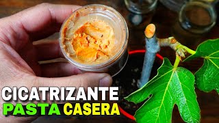 👉Cómo hacer un CICATRIZANTE Natural CASERO🌹 Paso a Paso [upl. by Erdnoid]