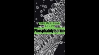 What is Phosphatidylserine [upl. by Oigolue]