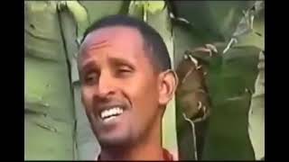 ስማሽ ማኒ ደልታ ስልጥኛ ሙዚቃ  smuash mani delta siltigna music [upl. by Timmi557]