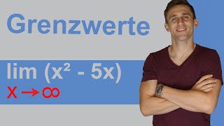 Grenzwertbetrachtung  Kurvendiskussion 4  Grenzwerte leicht finden  mit LimesSchreibweise  lim [upl. by Karylin745]