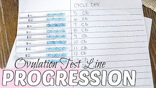 OVULATION TEST LINE PROGRESSION 2020 amp HOW TO READ AN OVULATION TEST  TTC BABY 2 [upl. by Gazzo]