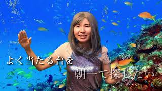 【歌ネタ】パチンコ台の人魚 パチエル『パチンコ・ザ・ワールドPachinko the World』MV [upl. by Cathleen]