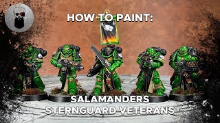 Contrast How to Paint Salamanders Sternguard Veterans [upl. by Atnima]