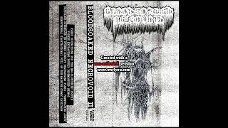 Bloodsoaked Necrovoid Costa Rica  Demo II 2018 [upl. by Emogene]