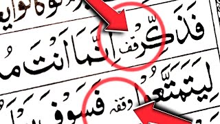 How To Read Waqfa In Quran  وقفہ  quran me waqfa karne ka sahi Trika [upl. by Kaiulani450]