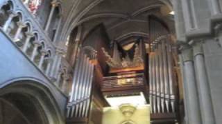 Lausanne Cathedral Organ [upl. by Kohl]