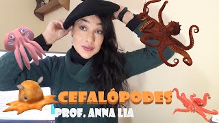 SEGUNDO ANO  MOLUSCOS  CEFALÓPODES  PROF ANNA LIA [upl. by Nomma]