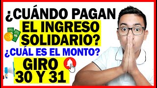 ¿Cuándo Pagan el Ingreso Solidario ¿Cuánto es el monto en el giro 30 y 31  Wintor ABC [upl. by Canice]