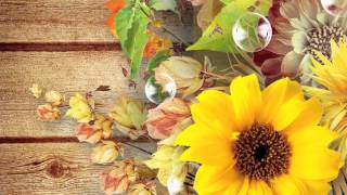 Tchaikovsky  Autumn   Autumn Song [upl. by Nbi]