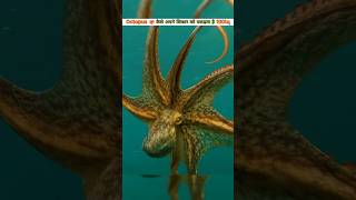 🐙 Octopus ने क्यों किया coconut shell का इस्तेमाल  How octopus hide in shell by ProfessorNitin [upl. by Rani]