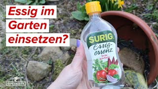 Essig im Garten gegen Unkraut und Co Ist Essig eigentlich erlaubt oder verboten [upl. by Anaujat]