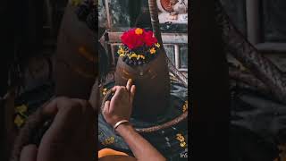 एक दिन हमारे कर्म हमसे मिलने जरूर आयेंगे Mahadev shiv bhakti stetus trending viralyoutube short [upl. by Halullat123]