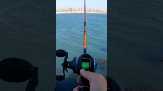 Spinning VS Baitcasting Reels Which one cast further [upl. by Nicolis892]