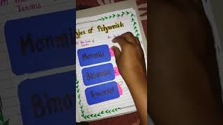 maths portfolio class 10th how to make portfolio portfolio on polynomials class 10Easy portfolio [upl. by Ennovyhc]