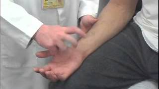 Tinels Test of the Ulnar Tunnel [upl. by Renckens964]