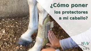 Cómo poner los PROTECTORES a mi CABALLO I Paso a paso [upl. by Kreegar407]