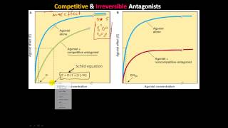 pharm4  ReceptorEffector and Spare Receptors Competitive Irreversible amp chemical Antagonists [upl. by Metsky]