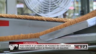 Conozca cómo se hacen las galletas en una fábrica [upl. by Colston]