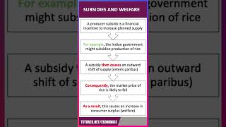 How to Analyse Subsidies amp Consumer Welfare  60 Second Economics  ALevel amp IB [upl. by Renick]