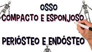 ✅ TECIDO ÓSSEO COMPACTO E ESPONJOSO  PERIÓSTEO E ENDÓSTEO  DIÁFISE E EPÍFISE [upl. by Amitak]