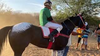 MADALENA VENCE A GLORIOSA EM FARTURA DO PIAUÍ  PI [upl. by Tynan124]